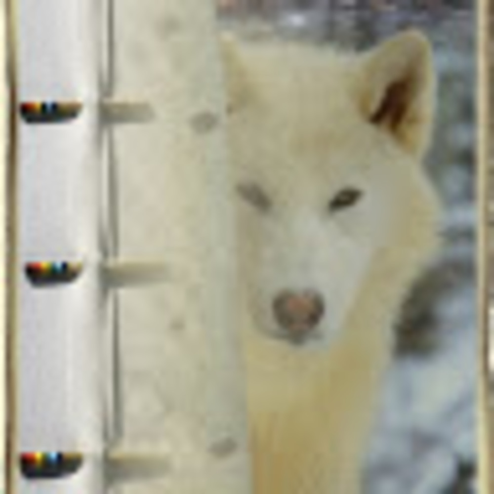 Meet your Posher, Native paranormal seekers